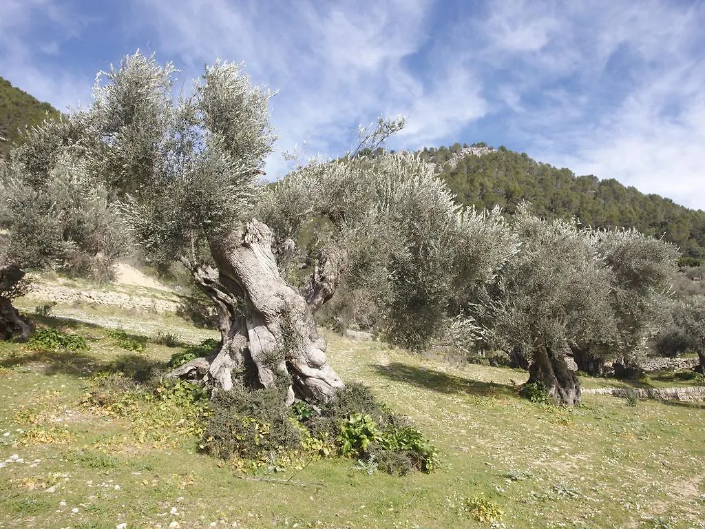 Monnaber Vell Hotell Campanet Spanien